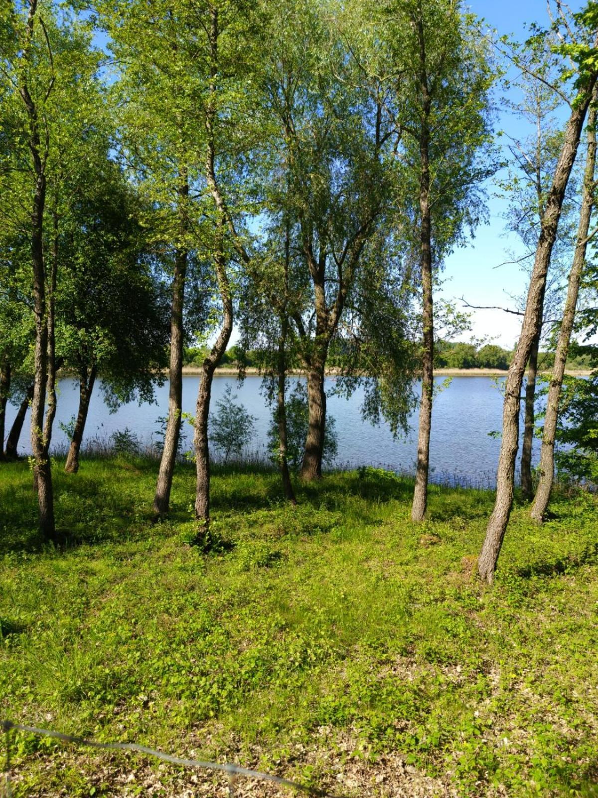 Swietna Chatka Swietne Екстериор снимка